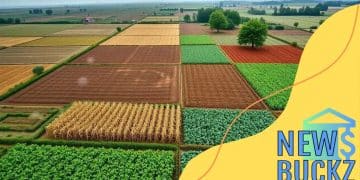 The impact of climate change on global agriculture