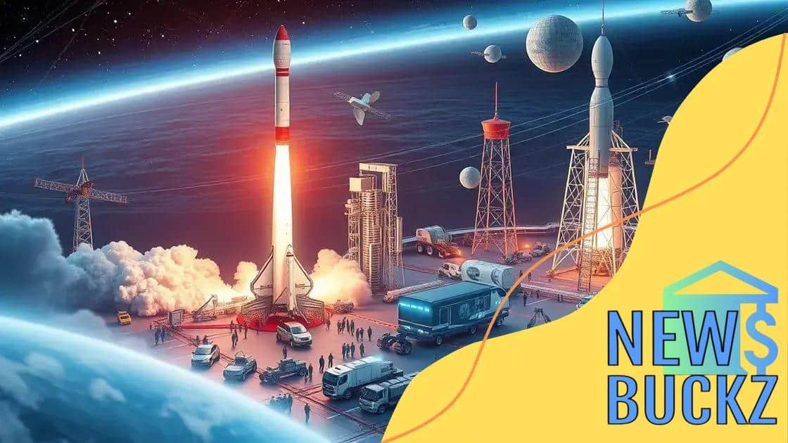 The role of private companies in space economies